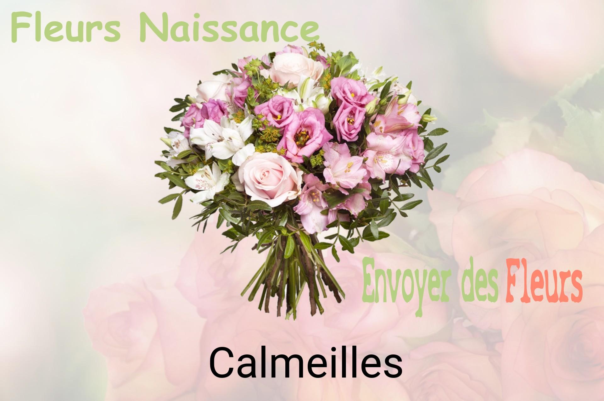 Bouquet de fleurs de naissance livré à Calmeilles